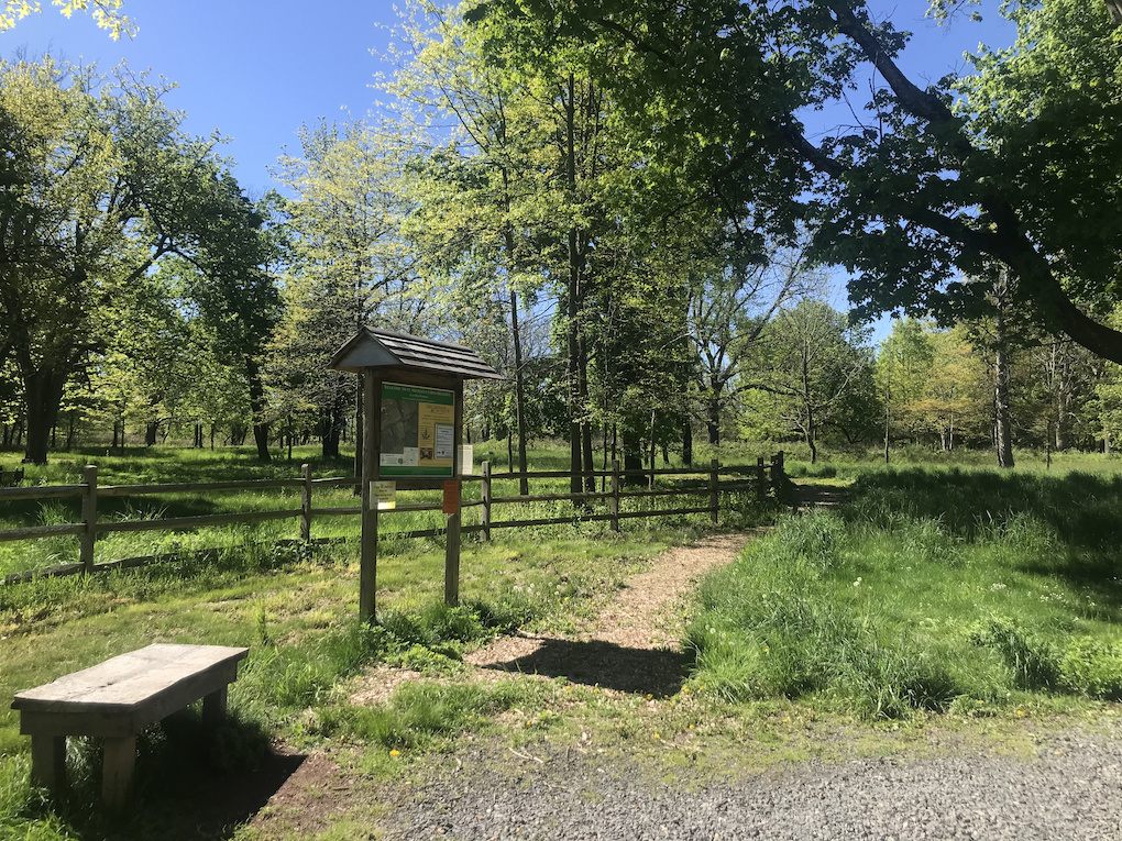 A nature preserve with green fields and a bench
